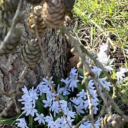 Summer House Close To The Sea On North Langeland Feriehus Tranekær