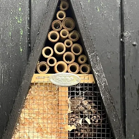Feriehus Summer House Close To The Sea On North Langeland Tranekær