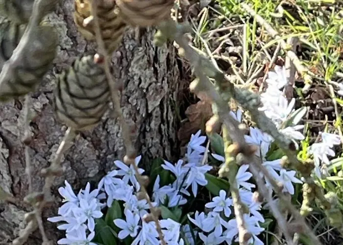 Summer House Close To The Sea On North Langeland Holiday home Tranekaer
