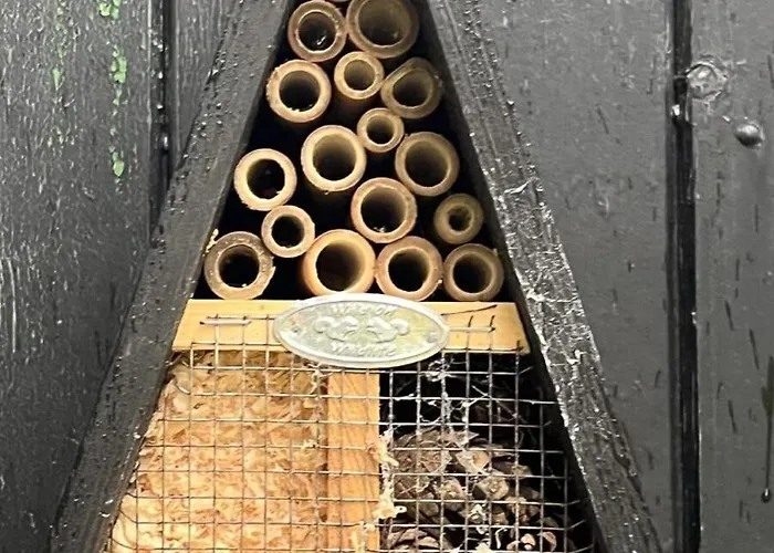 Holiday home Summer House Close To The Sea On North Langeland Tranekaer